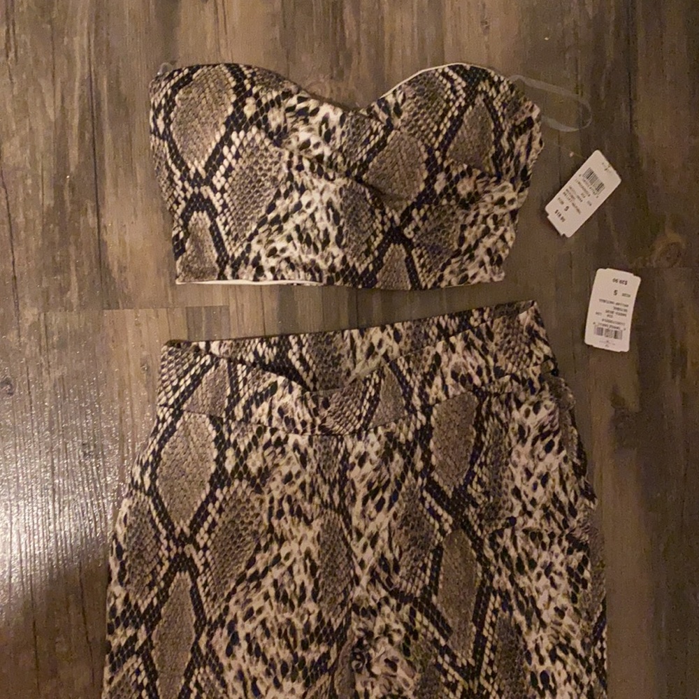 Matching reptile set from Windsor